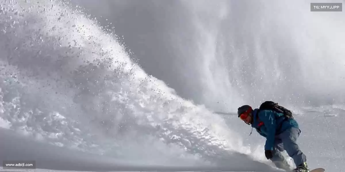 行业领先的理由